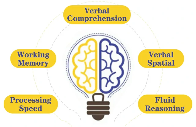 探索你的認知能力